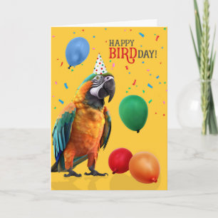 Funny Catalina or Rainbow Macaw Parrot Birthday Card