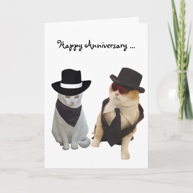 Funny Cats Anniversary Card (Front)