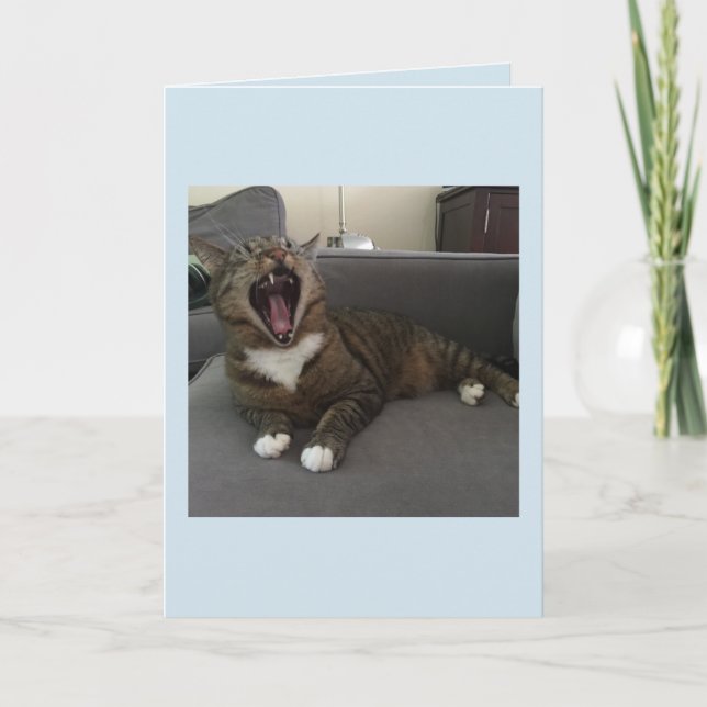 Funny cats, Apology for isolating myself card (Front)