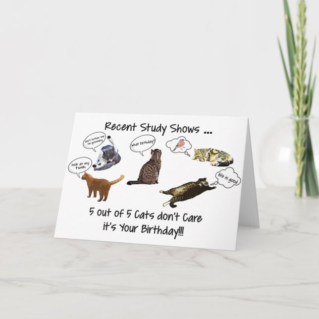 Funny Cats Birthday Greeting Card  (Front)