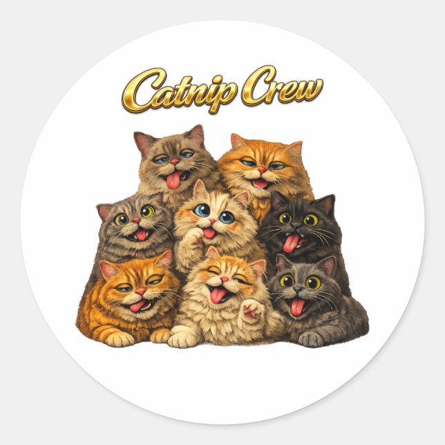 Funny Cats Classic Round Sticker (Front)