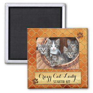 Funny Cats Crazy Cat Lady Photo Magnet