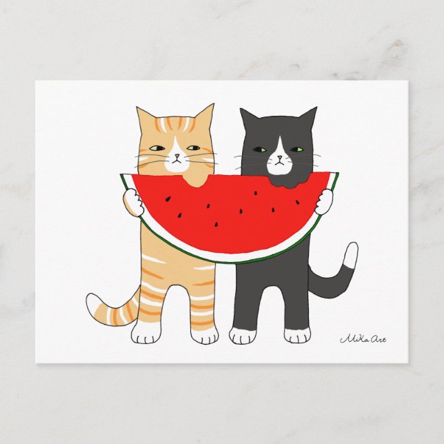 Funny Cats Eating Watermelon Postcard Funny Cats (Front)