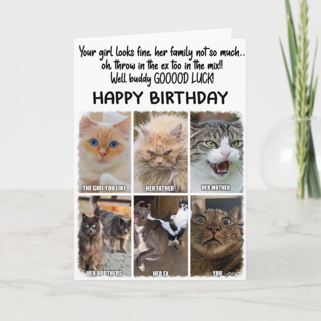 Funny Cats Expressions Birthday Greeting Card  (Front)