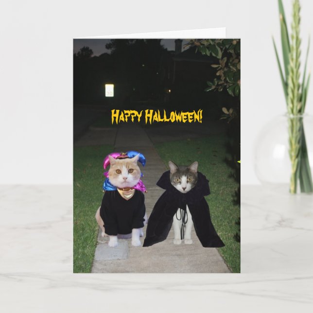 Funny Cats Halloween Card (Front)