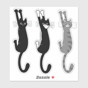 Funny Cats Hanging On   Black Cat, Tuxedo, Tabby