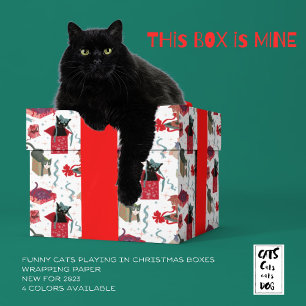 Funny Cats In Christmas Boxes White Red Green Wrapping Paper