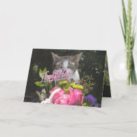 Funny Cats/Kitties Happy Birthday Estranged Couple