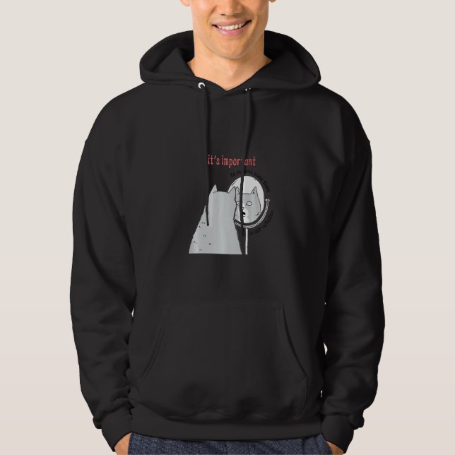 Funny Cats Meme Chonk Cat Hoodie (Front)