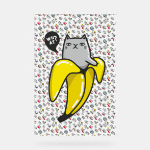 Funny cats, milk and magic. acrylic sign