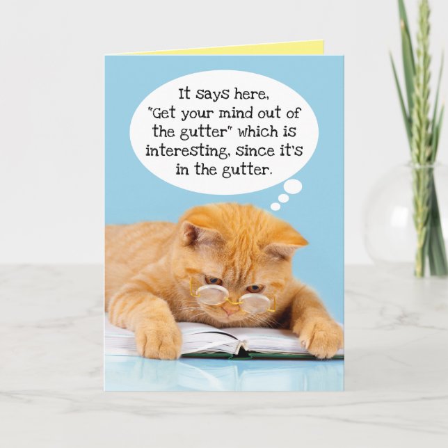 Funny Cat's Mind Is In The Gutter Birthday Card (Front)