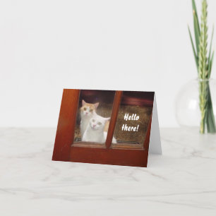 Funny Cats Notecard