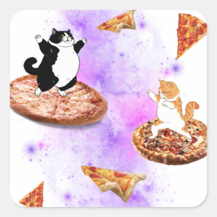 Funny cats riding pizza on space square sticker