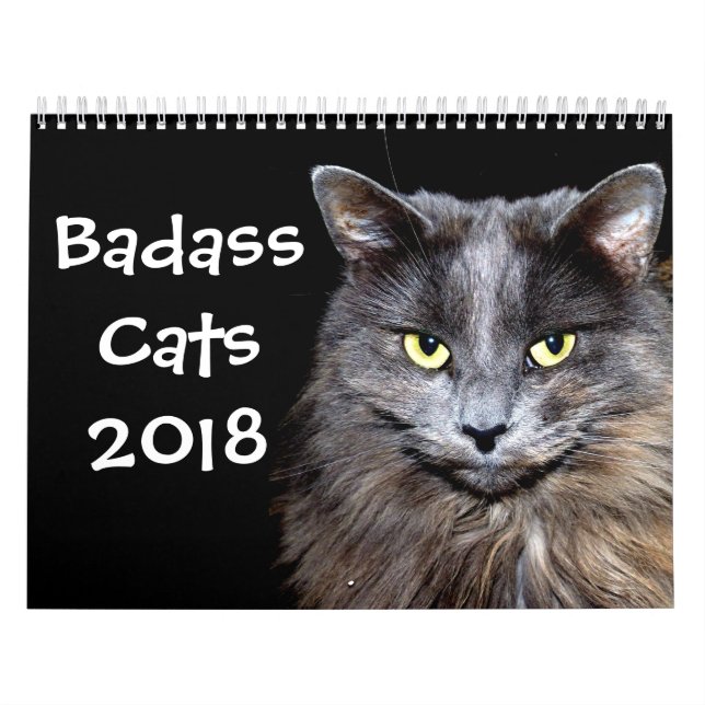 Funny Cats with Catitude Calendar (Cover)