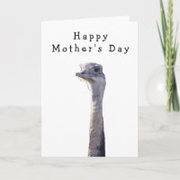 Funny Cheeky Bird Mother's Day