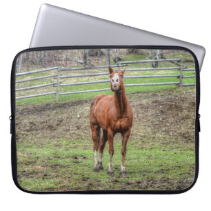 Funny Chestnut Stallion Horse Whinnying Photo Laptop Sleeve