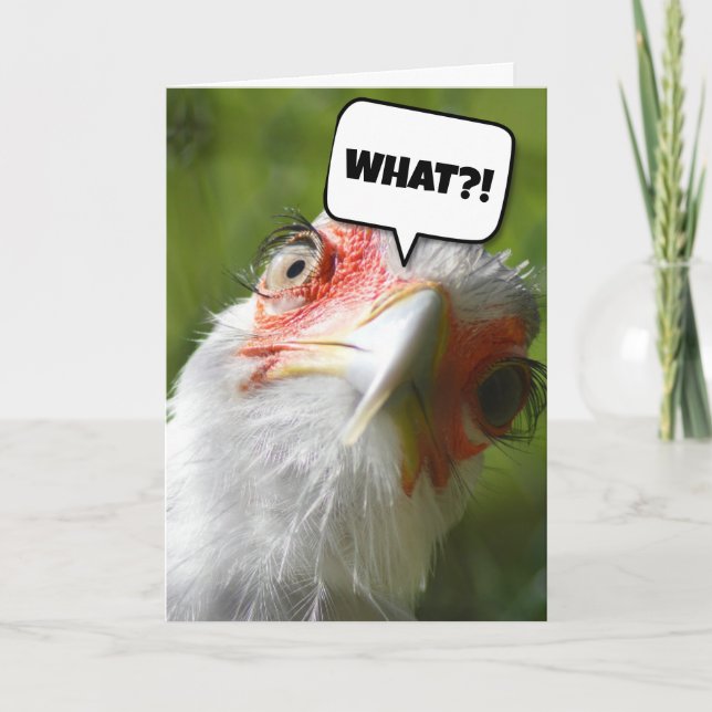 FUNNY CHICKEN BIRTHDAY CARD (Front)