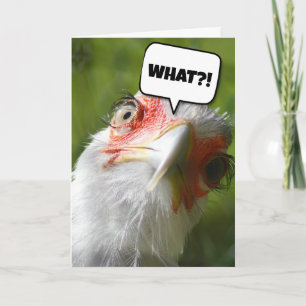 FUNNY CHICKEN BIRTHDAY CARD