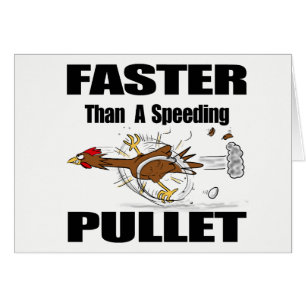Funny chicken cartoon