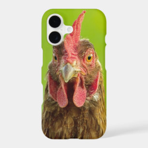 Funny Chicken Face on Green
