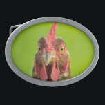 Funny Chicken Farm Animal Belt Buckle<br><div class="desc">Funny portrait photo of a chicken against a green background.</div>