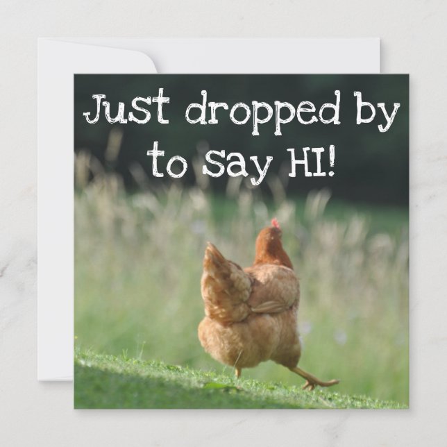 Funny Chicken Hello Greetings Cute Farm Animals  Card (Front)