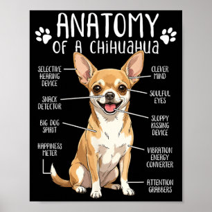 Funny Chihuahua Anatomy Of A Chihuahua Dog Owner P Poster