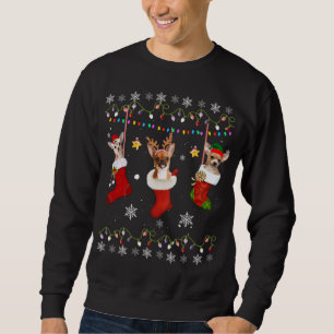 Funny Chihuahua Christmas Socks Lights Gift Dog Lo Sweatshirt