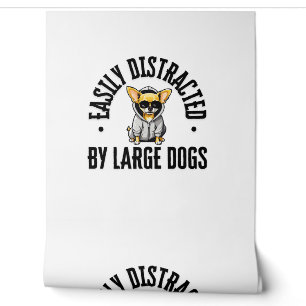 Funny Chihuahua Dog Easily Distracted By Large Dog Wallpaper