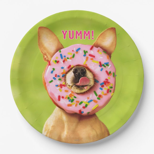 Funny Chihuahua Dog with Sprinkle Doughnut on Nose Paper Plate (Front)
