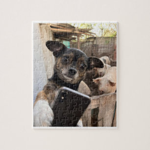 Funny Chihuahua Farm Dog Jigsaw Puzzle