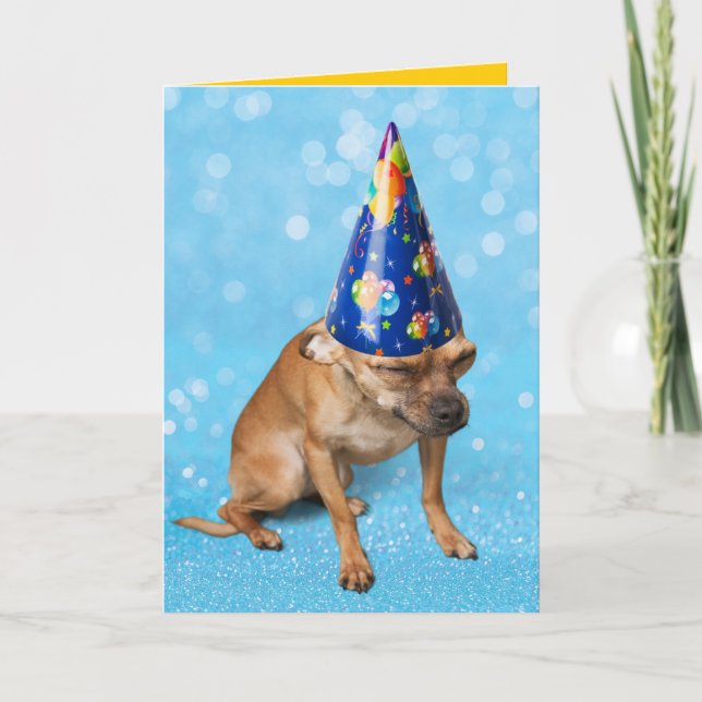 Funny Chihuahua In Birthday Party Hat  Card (Front)