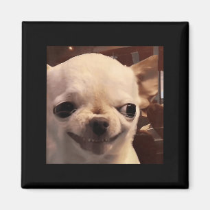 Funny Chihuahua Meme Smug Smile Dog Humour Design Magnet