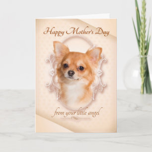 Funny Chihuahua Mother's Day Card