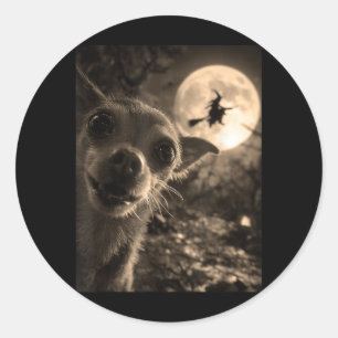 Funny Chihuahua Selfie Full Moon Flying Witch Classic Round Sticker