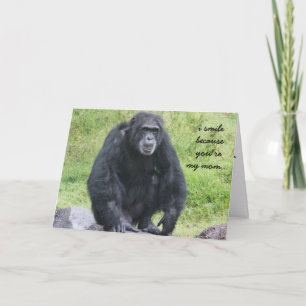 Funny Chimapanzee Birthday card for mother