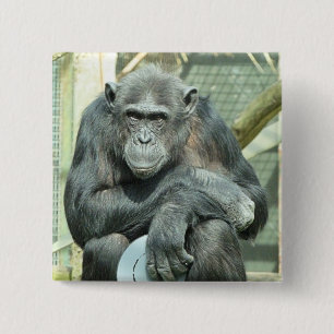 FUNNY CHIMPANZEE 15 CM SQUARE BADGE