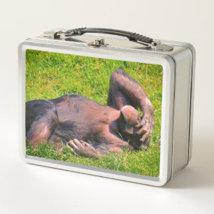 Funny Chimpanzee Animal Metal Lunch Box