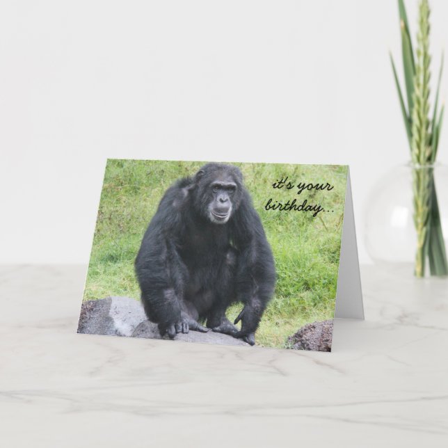 Funny Chimpanzee Birthday, wanna monkey around?! Card (Front)