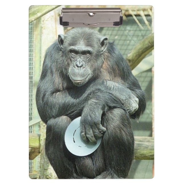 FUNNY CHIMPANZEE CLIPBOARD (Front)