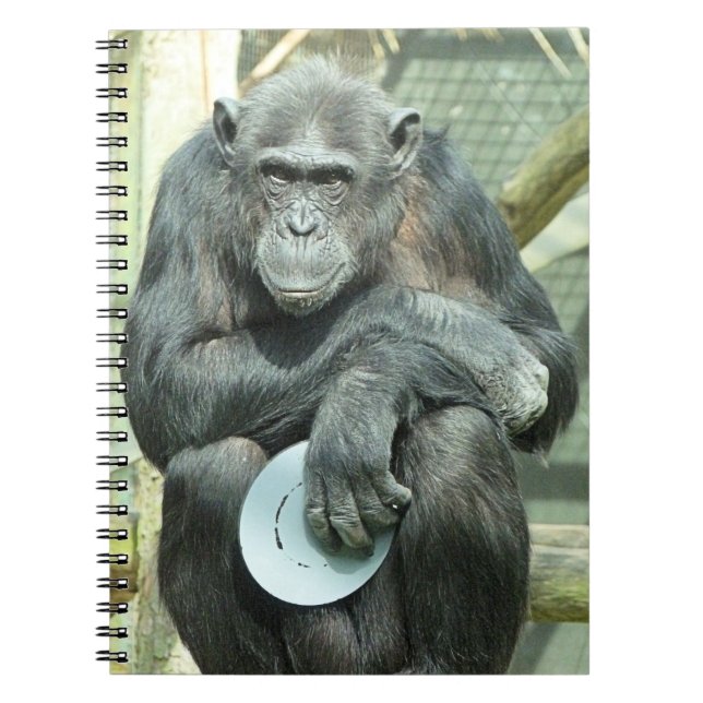 FUNNY CHIMPANZEE NOTEBOOK (Front)