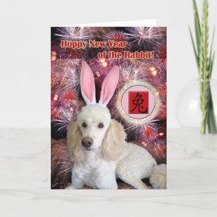 Funny Chinese New Year of the Rabbit Holiday Card