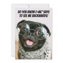 Funny Chinese Pug Cute Puppy Dog Animal Theory