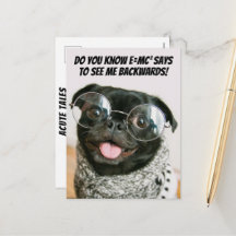 Funny Chinese Pug Cute Puppy Dog Animal Theory