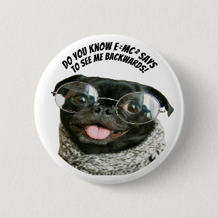 Funny Chinese Pug Puppy Dog Theory Acute Tales The 6 Cm Round Badge