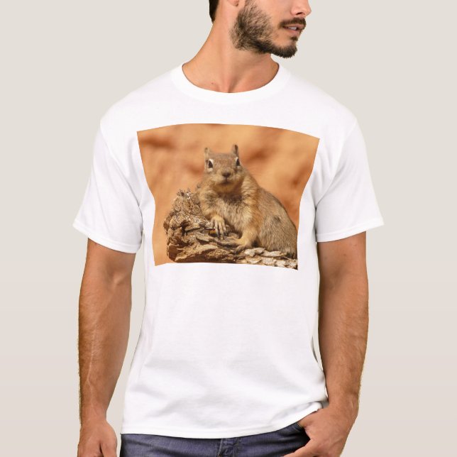 Funny chipmunk lying on a rock T-Shirt (Front)