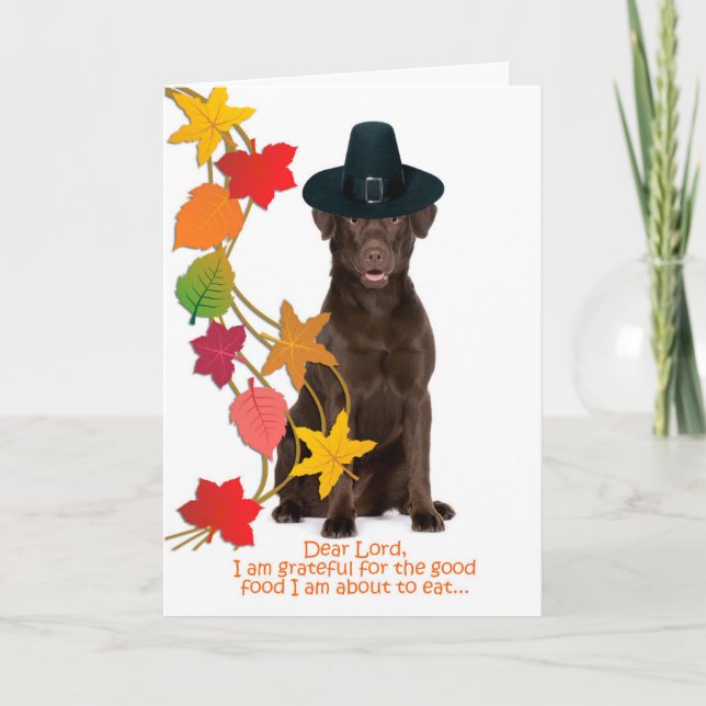 Funny Chocolate Lab Thanksgiving Card (Front)