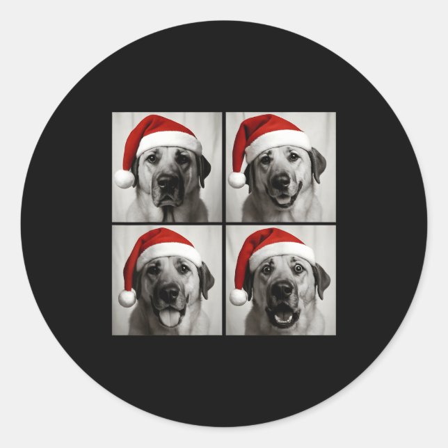 Funny Christmas Anatolian Shepherd Santa Dog Photo Classic Round Sticker (Front)