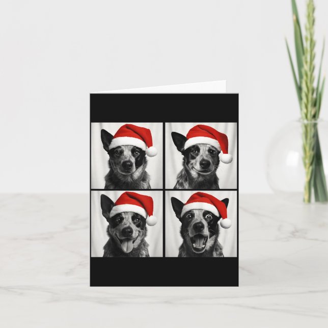 Funny Christmas Australian Cattle Dog Santa Photo  Card (Front)
