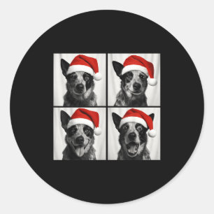 Funny Christmas Australian Cattle Dog Santa Photo  Classic Round Sticker